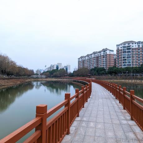 枝江第一深情于2023-07-04 12:42发布的图片