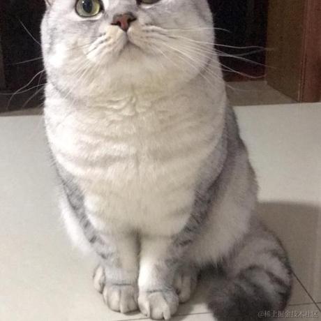 章鱼几个爪于2021-11-17 10:58发布的图片