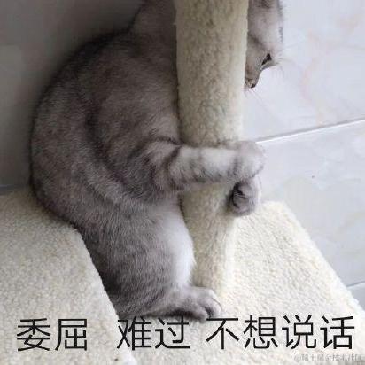 树洞robot于2021-03-04 13:39发布的图片