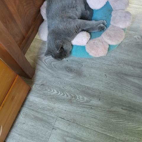 漾雾于2023-05-16 11:05发布的图片