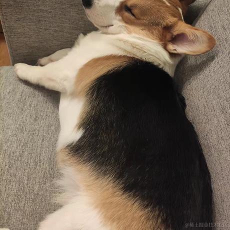 板砖村长于2022-01-24 16:19发布的图片