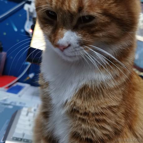 柒弎于2022-12-01 23:13发布的图片