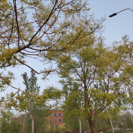 用户9385800388358于2023-04-09 19:22发布的图片