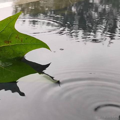 日月昭昭于2023-04-23 14:53发布的图片