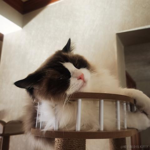 Firmament于2022-12-02 11:16发布的图片