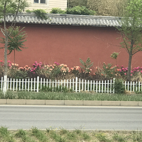 在线非酋于2021-06-09 06:30发布的图片