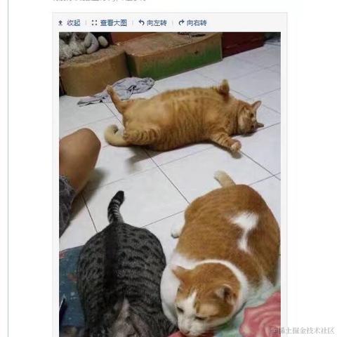 huang小菜鸡于2020-11-12 13:36发布的图片