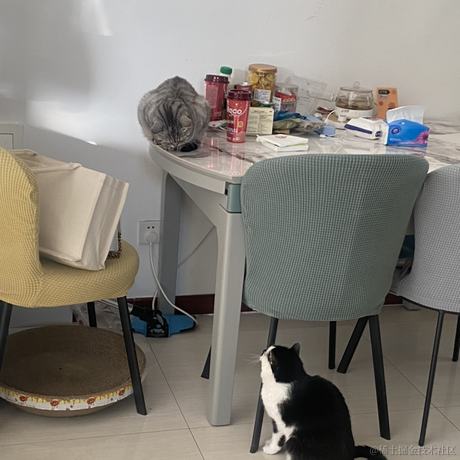 点点是只猫于2022-11-14 08:33发布的图片