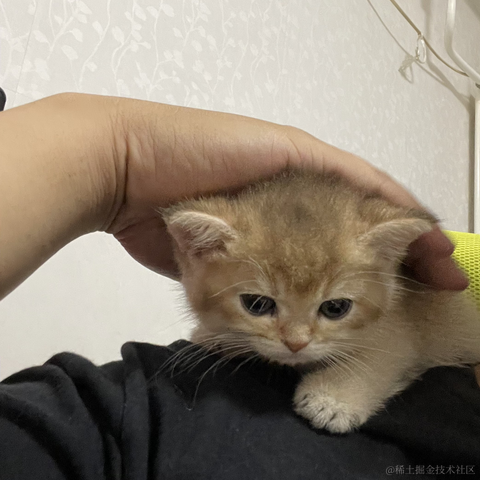 XCaptaino于2022-06-15 17:53发布的图片