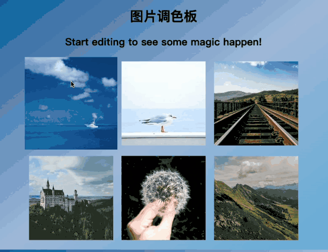 tutieshi_640x492_4s (1).gif