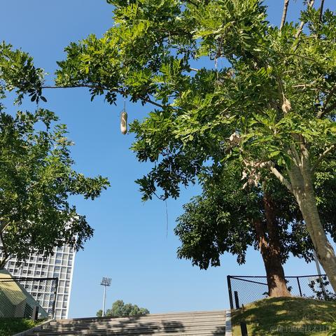 一般通过修伞er于2022-12-10 03:48发布的图片