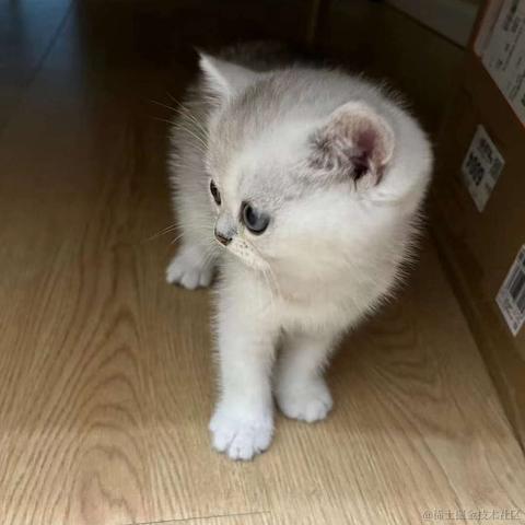 不爱吃小面于2023-05-17 10:06发布的图片