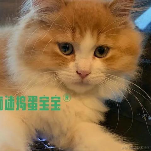 TimYang于2022-09-23 15:53发布的图片
