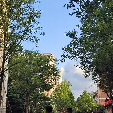 用户7186131603423于2023-04-20 22:12发布的图片