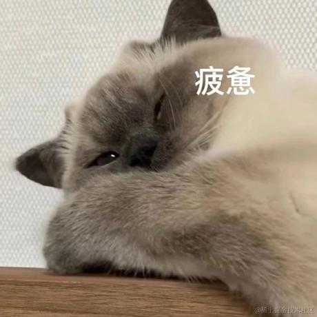 三苗同学于2024-07-08 10:23发布的图片