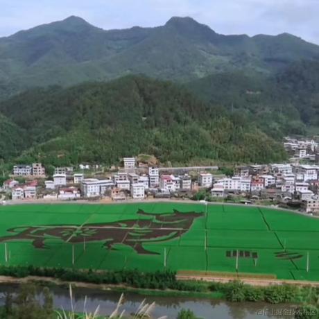 进军的王小二于2021-09-13 14:06发布的图片