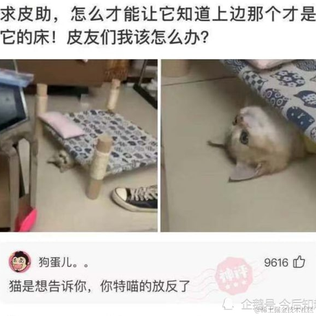 刘一笔于2021-06-09 15:04发布的图片