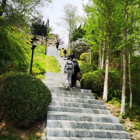 刘笑祎于2023-04-27 21:27发布的图片