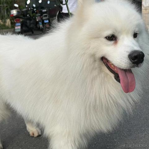 那我关月亮咯于2023-06-12 13:55发布的图片