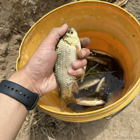 devhg于2023-05-03 21:15发布的图片