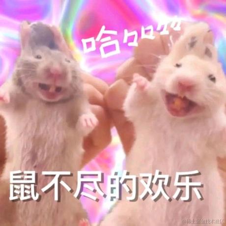 我不是笨蛋于2023-05-04 11:13发布的图片