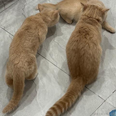 LINer于2023-04-22 22:11发布的图片