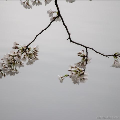 羡鱼_于2023-03-20 15:47发布的图片