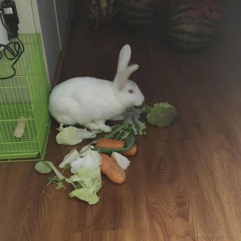 d小王子b于2023-04-14 14:22发布的图片