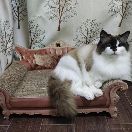 烟火撞星辰于2022-03-26 22:03发布的图片