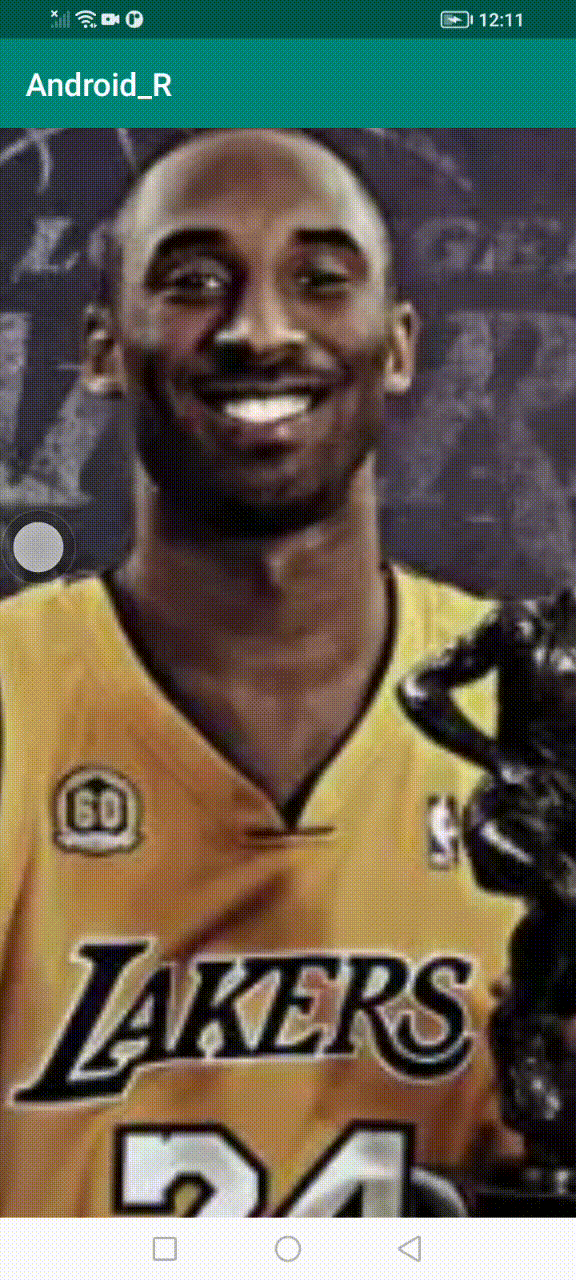 SVID_20240204_121138_1.gif