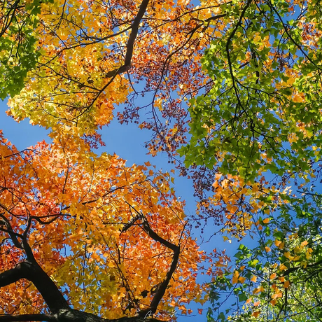 嘉然小天使于2022-11-17 19:49发布的图片