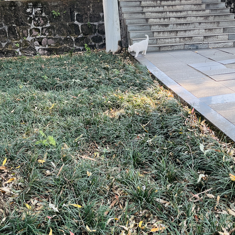 Godoshi于2022-11-17 07:58发布的图片