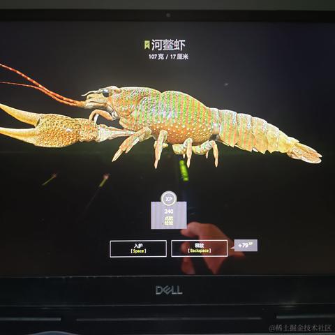 rain2333于2022-11-25 21:30发布的图片