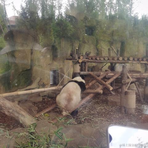 蜜拉贝儿于2023-06-24 07:18发布的图片