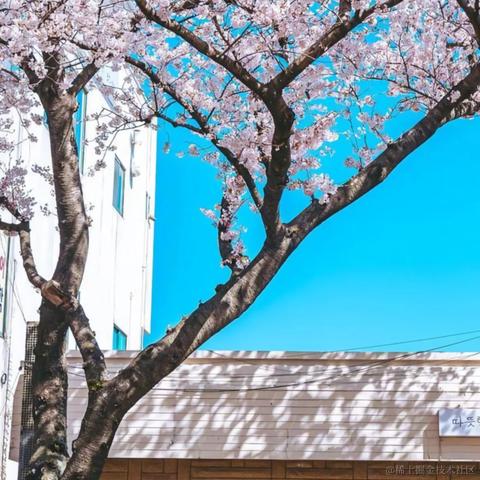 Rockbean于2023-02-01 10:35发布的图片