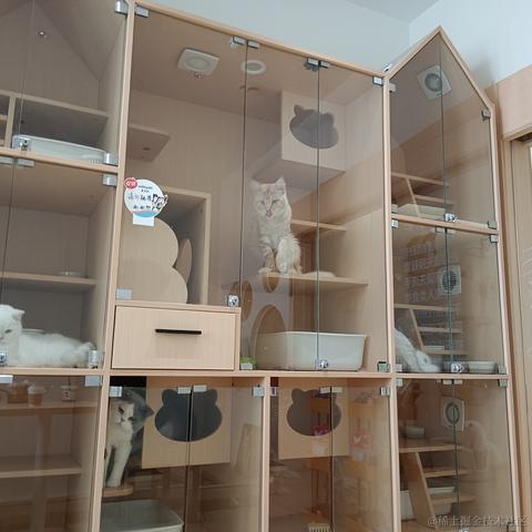 心想事成717于2023-06-25 14:24发布的图片