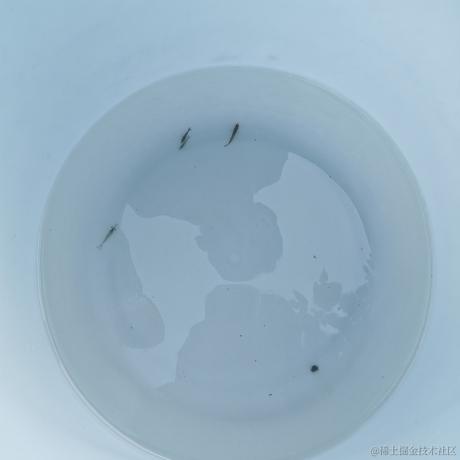 伪电气白兰地于2023-06-27 19:02发布的图片