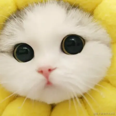 tangdou369098655于2022-06-17 19:50发布的图片