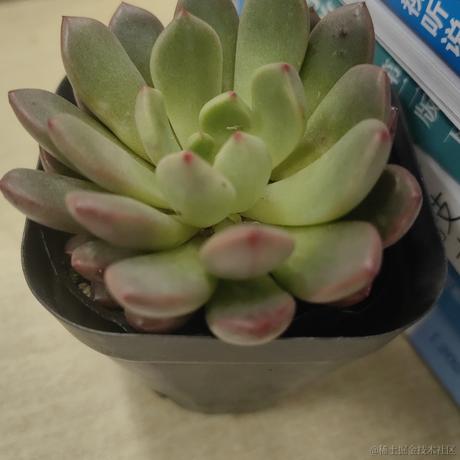 曙光981于2023-05-01 23:15发布的图片