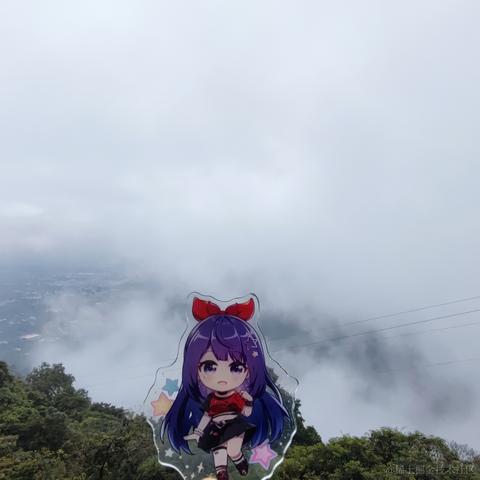 脆弱杨桃干于2022-11-09 10:30发布的图片