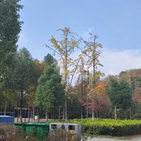 灵小猫于2022-11-11 13:05发布的图片