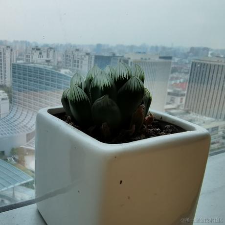 龙王980于2022-11-14 12:12发布的图片