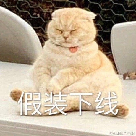 extrastu于2021-09-23 09:40发布的图片