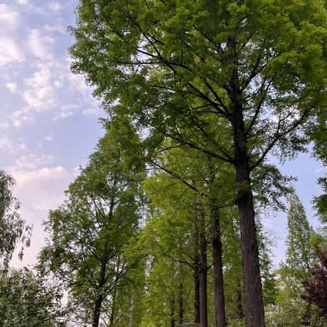 Ry于2022-04-19 10:09发布的图片