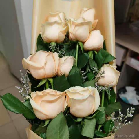 向碗小魔王于2022-12-01 22:48发布的图片