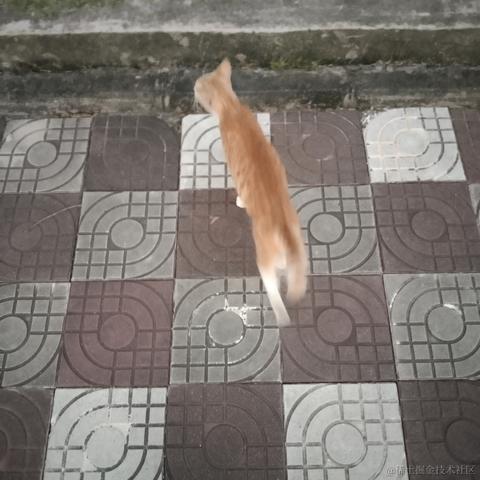 晚美無瑕于2022-11-10 23:58发布的图片