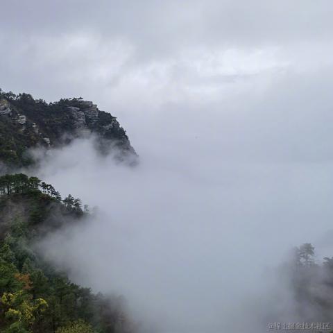 叶一一于2022-11-24 12:51发布的图片