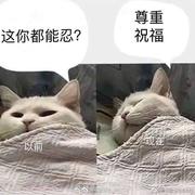 aware的个人资料头像