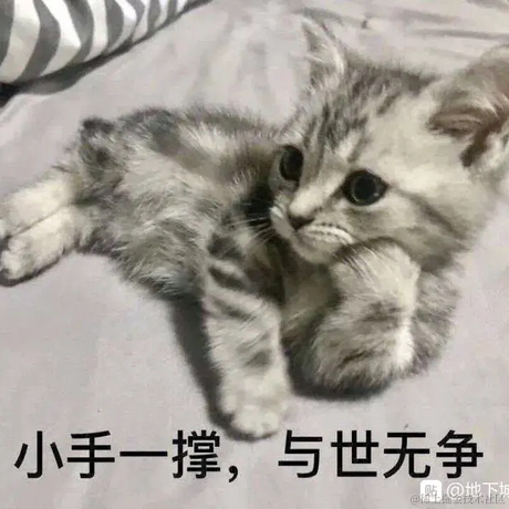 litty就是我于2020-08-20 19:15发布的图片