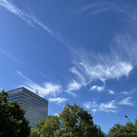 狗纸于2022-08-19 09:40发布的图片